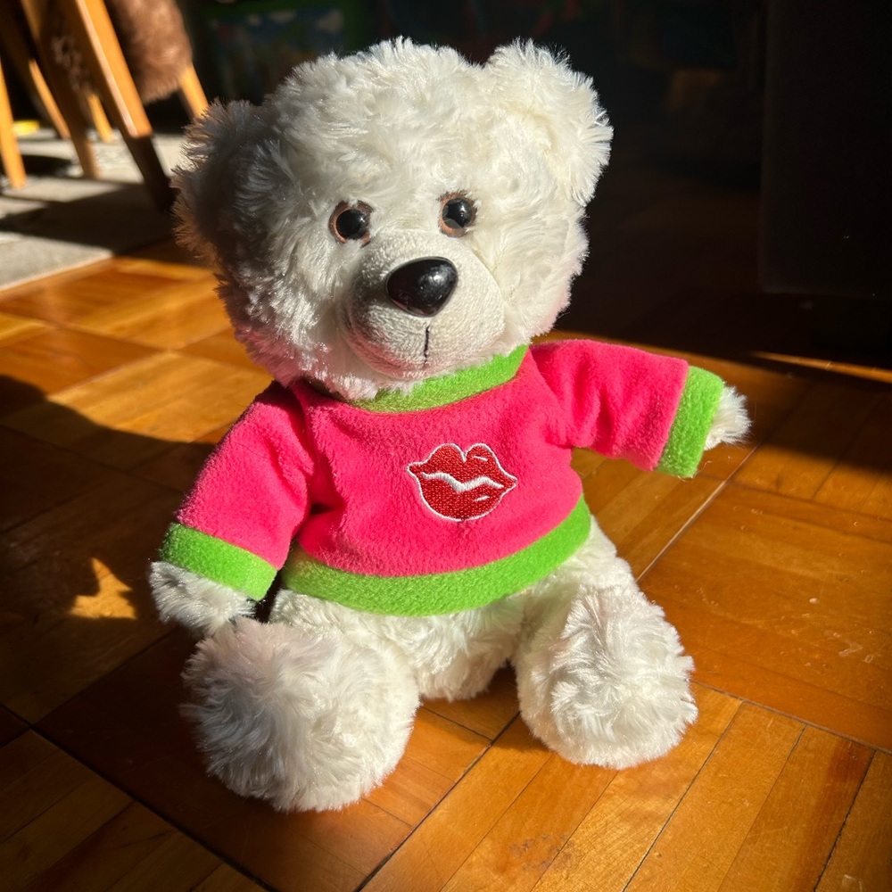 Cute Teddy Bear with Pink and Green Sweater